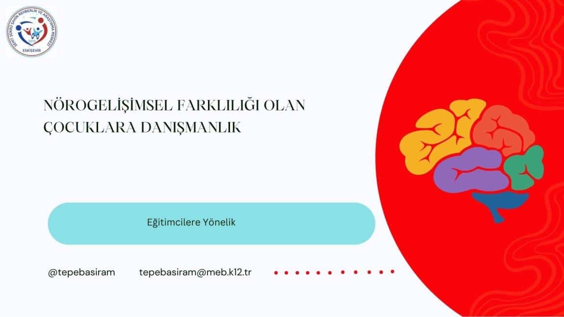 NÖROGELİŞİMSEL FARKLILIĞI OLAN ÇOCUKLARDA DANIŞMANLIK